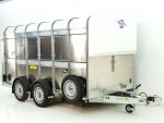 Ifor Williams TA5 HD 12x6 Veewagen 156x372 cm Hoogte: 183 cm 3,5t | Dubbeldeks - Afbeelding 13